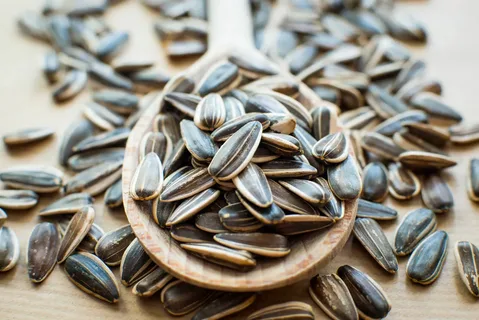 تصویر 2 از قیمت خرید تخمه با طعم پنیری + فروش استثنایی